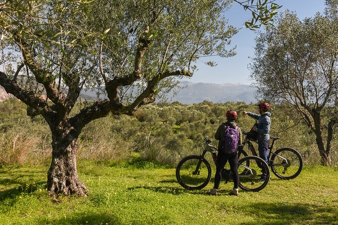 E-Bike Kalamata Olive Routes - Who This Tour Fits Best (And Who Might Skip It)
