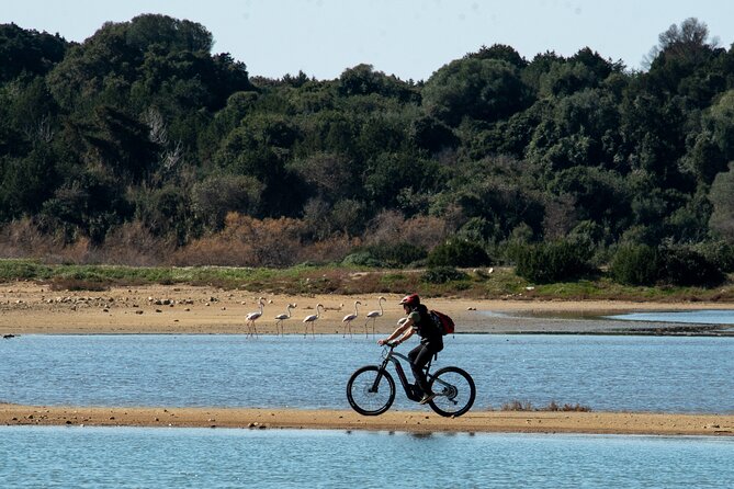 E-Bike Navarino Trail - Riding the Navarino trail: variety without the “tour bus” vibe