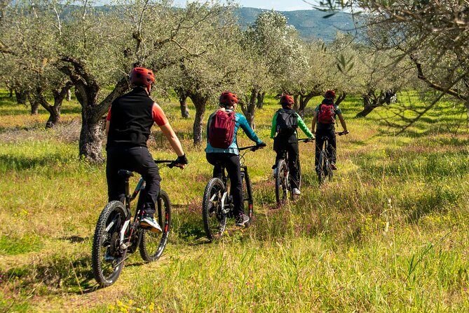 E-Bike Navarino Trail - Kalamaris Waterfall: a cool break in the middle of the ride