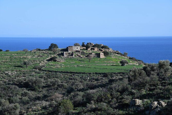 From Athens: Aegina Island E-bike & Walking Day Tour - Temple of Aphaia: ancient Greece starts before the island ride