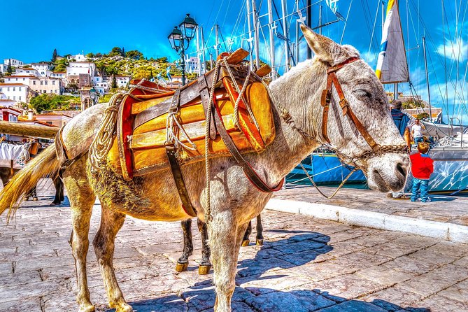From Athens: Hydra, Poros, and Aegina Day Cruise with Lunch - The Poros Stop: Shops, Sea Views, and a Quick Taste of Town