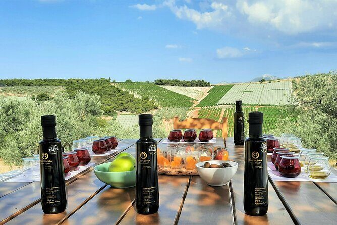 From Athens: Olive Oil Tasting, Olive Grove & Wine Experience - Key highlights worth planning around