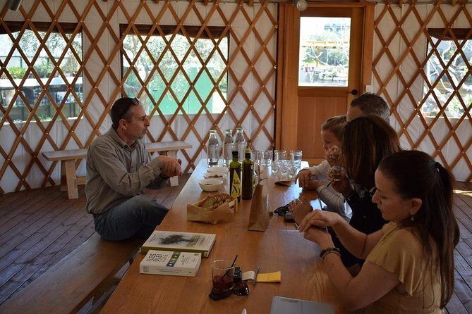 From Athens: Olive Oil Tasting, Olive Grove & Wine Experience - The Tasting Area With Panoramic Views
