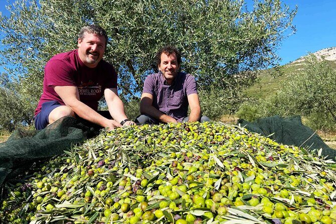 From Athens: Olive Oil Tasting, Olive Grove & Wine Experience - Wine Tasting and Snacks: A Friendly Pairing, Not a Detour