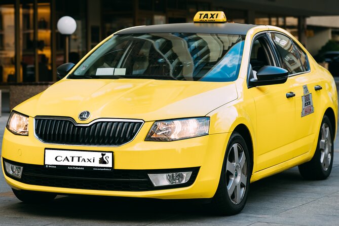 From Piraeus Port to Central Athens - Driver quality: professional help, English-speaking support, and practical tips