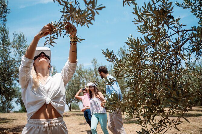 Full-Day Private Tour Corinth and Olive Oil Tasting from Athens - Olive Oil Tasting 101: How to Use This Experience