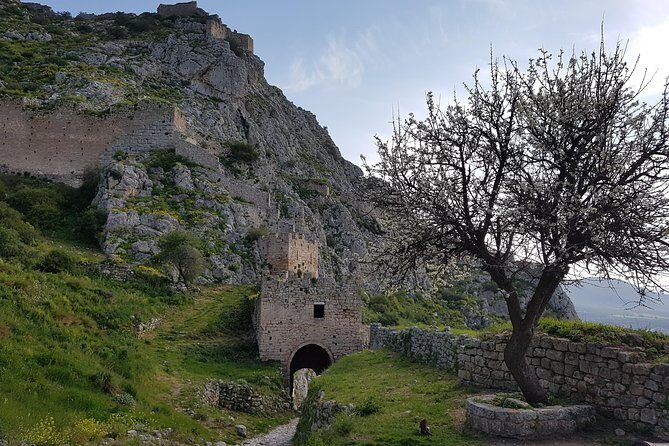 Full day tour Ancient Corinth with wine or olive oil tasting - Price and value: why $297.85 can make sense (or not)