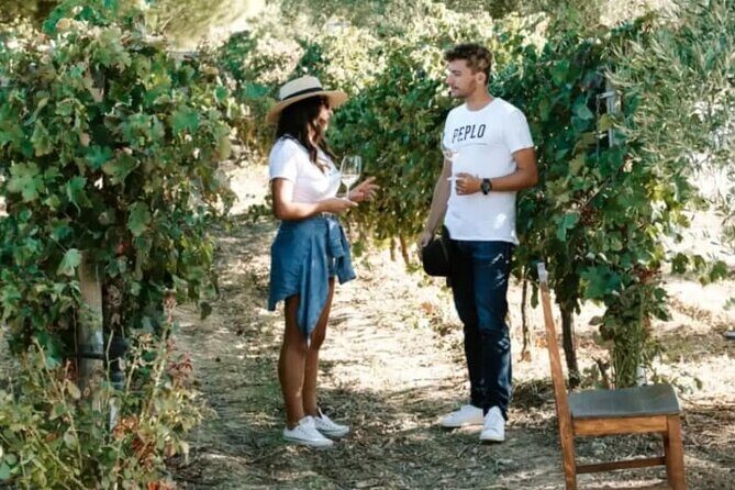Greece Wine Roads: Athens, Nemea and Santorini - What you’ll taste: Greek grape guide for Assyrtiko, Agiorgitiko, and friends