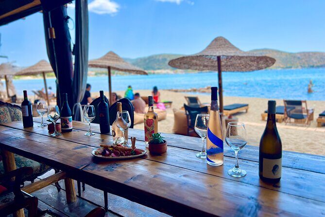 Greek Wine Tour with a Sommelier & Beach Day - Athenian Riviera - What you taste: Greek sparkling, whites, and reds (with smart comparisons)