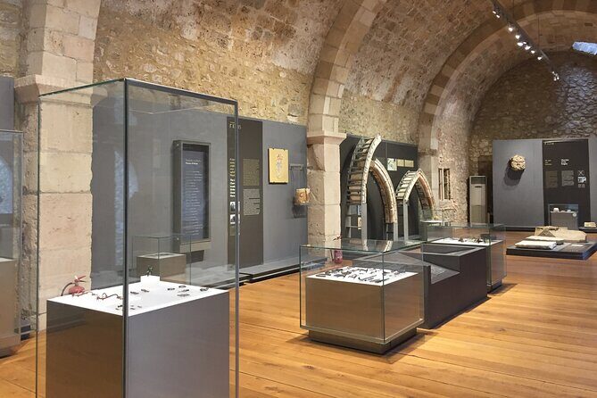Half-Day Private Tour from Katakolo or Kyllini Port to Anc. Ilis - Loutra Killinis: Roman baths or a beach break with gold-sand vibes