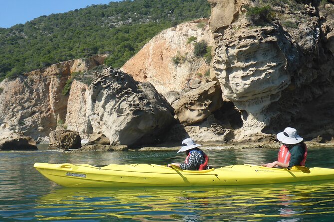 Half Day Tour - The Swim Stop: Snorkeling Gear and a Quick Reset