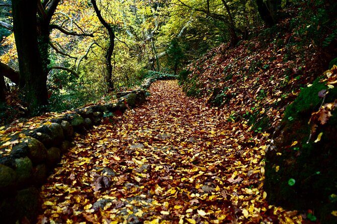 Hike among & Fly above Meteora - Great Meteoron or Varlaam: your big monastery stop