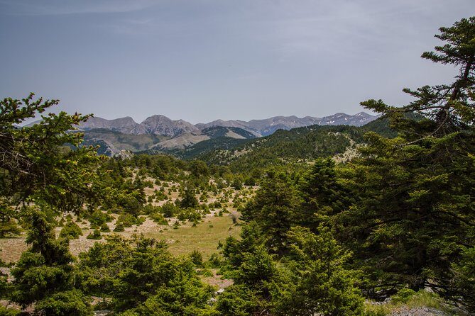 Hiking above Kalamata - The picnic break: local products, real fuel, and a reminder about water