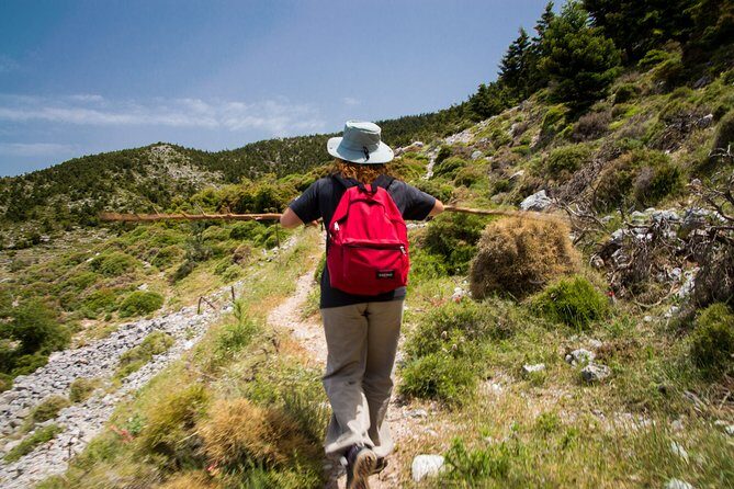 Hiking above Kalamata - Around the summit: Messinian Bay views that make Kalamata feel tiny