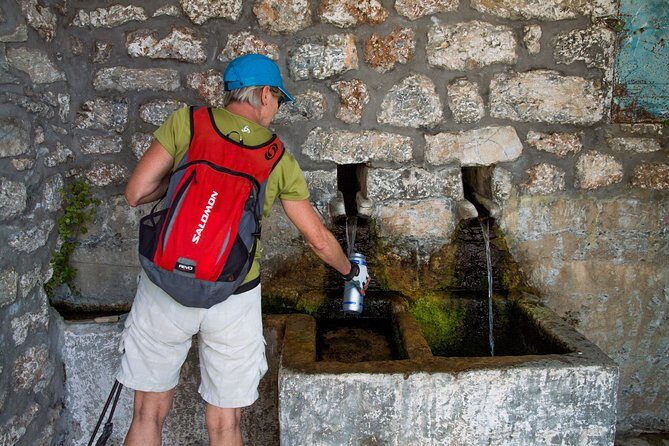 Hiking above Kalamata - Price and value: $60.94 for guide, picnic, snacks, and insurance