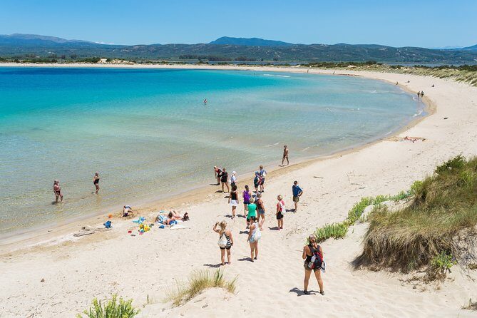 Hiking around Navarino Bay - Your Guide Matters: Fotis, Yorgos, and Georges