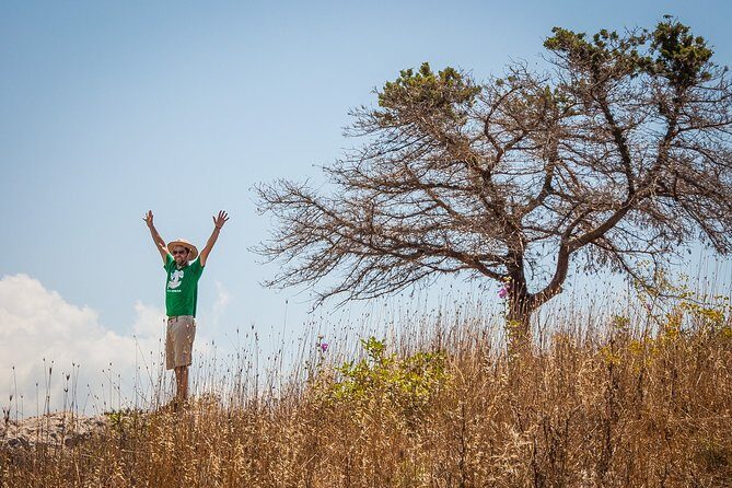 Hiking around Navarino Bay - Price and Value: Is $76.05 Fair for This Much Daylight?