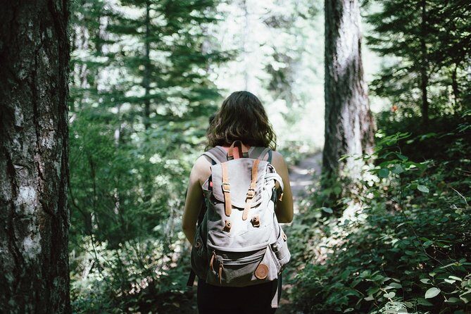 Hiking in Parnitha National Park Overlooking Athens - Tailoring the route: beginners, families, and advanced hikers