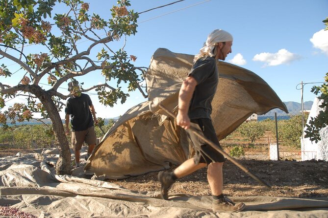 Insightful Pistachio Orchard and Factory Tour - The 2-hour format: enough time to learn, not enough time to drag