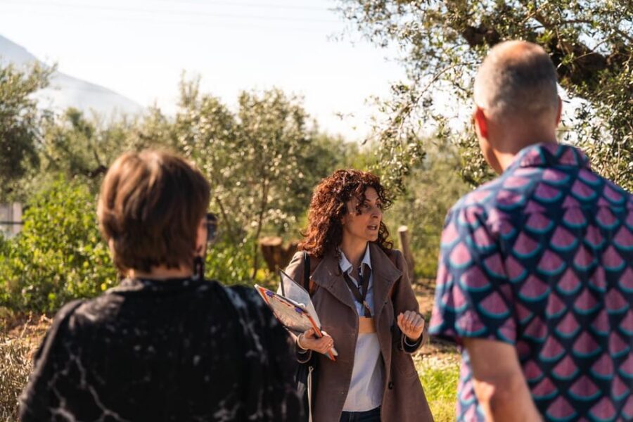 Kalamata, Greece: Organic Olive Grove Tour-Olive oil tasting - Should you book this Kalamata organic olive grove and tasting tour?