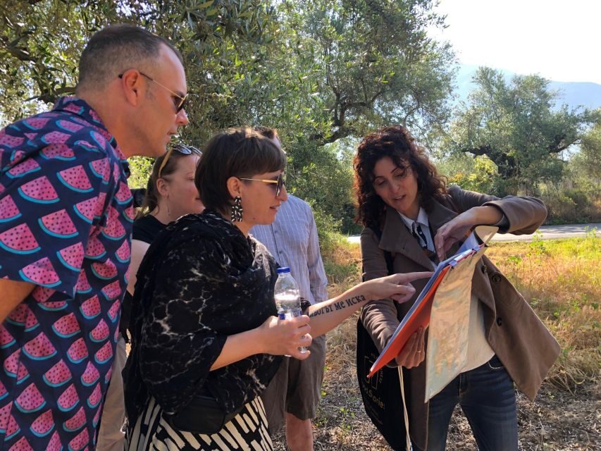 Kalamata, Greece: Organic Olive Grove Tour-Olive oil tasting - Kalamata’s olive country, without the fluff