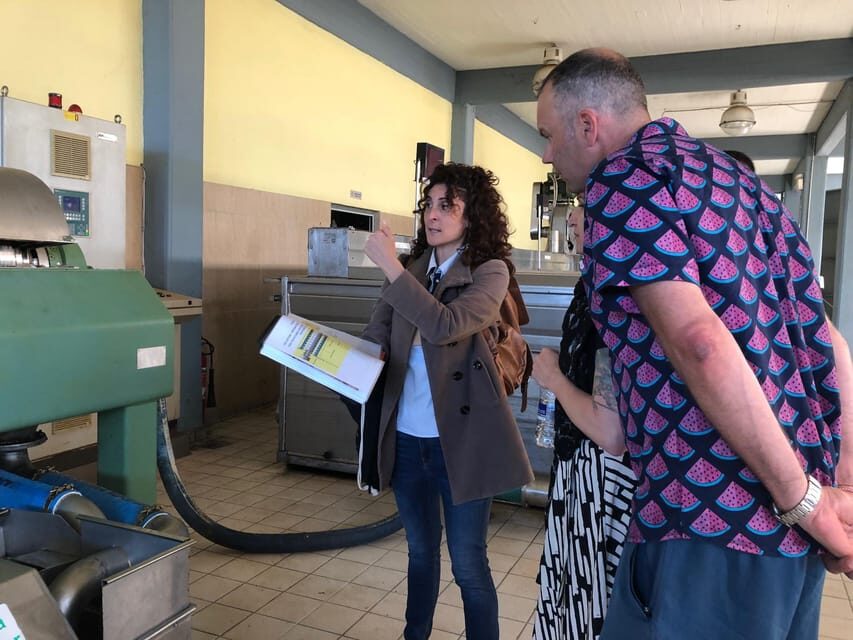 Kalamata, Greece: Organic Olive Grove Tour-Olive oil tasting - Who this tour fits best
