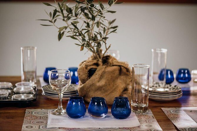 Kalamata- Olive oil & Wine Tour with traditional lunch - Androusa: where olive groves and Greek wine meet