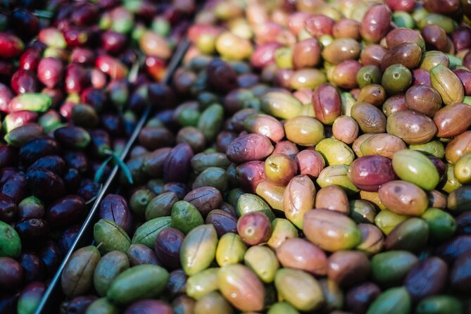 Keramikos Food Tour in Athens - Getting started near Thiseio at 10:30 am