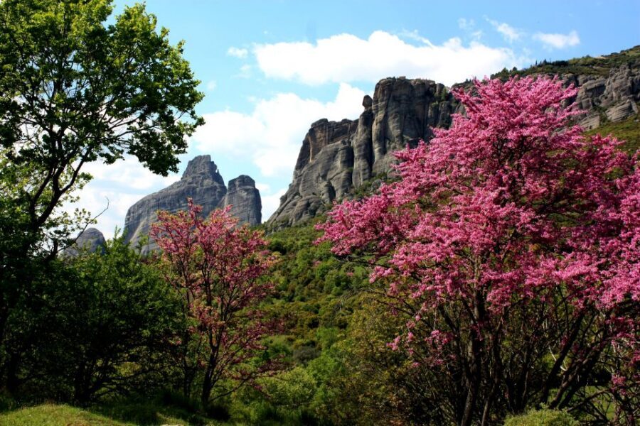 Meteora: Easy Hiking Adventure - Kastraki trail: ancient access routes and the “why” behind the steps