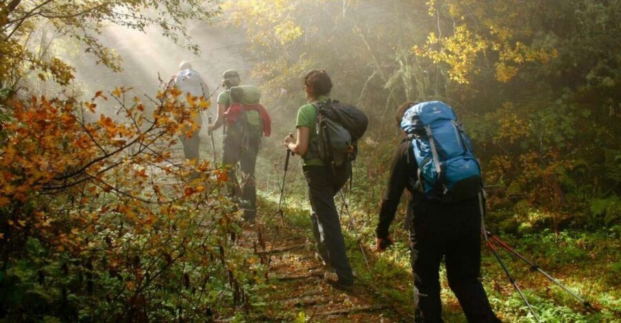 Meteora: Easy Hiking Adventure - Small group + guides (Christos and Harry): how the day becomes more than walking