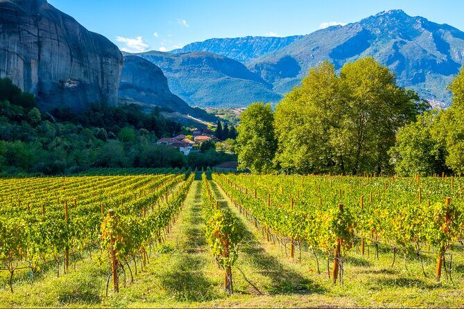 Meteora Food And Wine Private Tour - Key things to look forward to