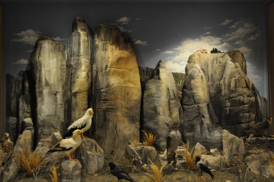 Meteora: Natural History Museum and Mushroom Museum Tour - Key things I’d prioritize
