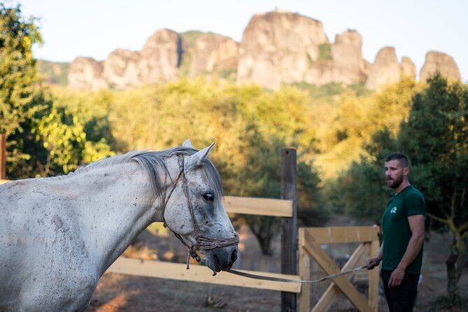 Morning Horseback Tour in Meteora with Monastery Ypapanti - Morning horseback timing: why the 10:00 am start matters in Meteora