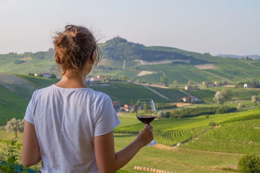 Nafplion: Nemea Vineyards Wine Tour - Nemea: where wine, athletics, and Hercules share the same ground