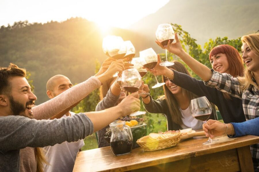 Nafplion: Nemea Vineyards Wine Tour - Winery 1: guided tour and tasting that teaches the vintage process