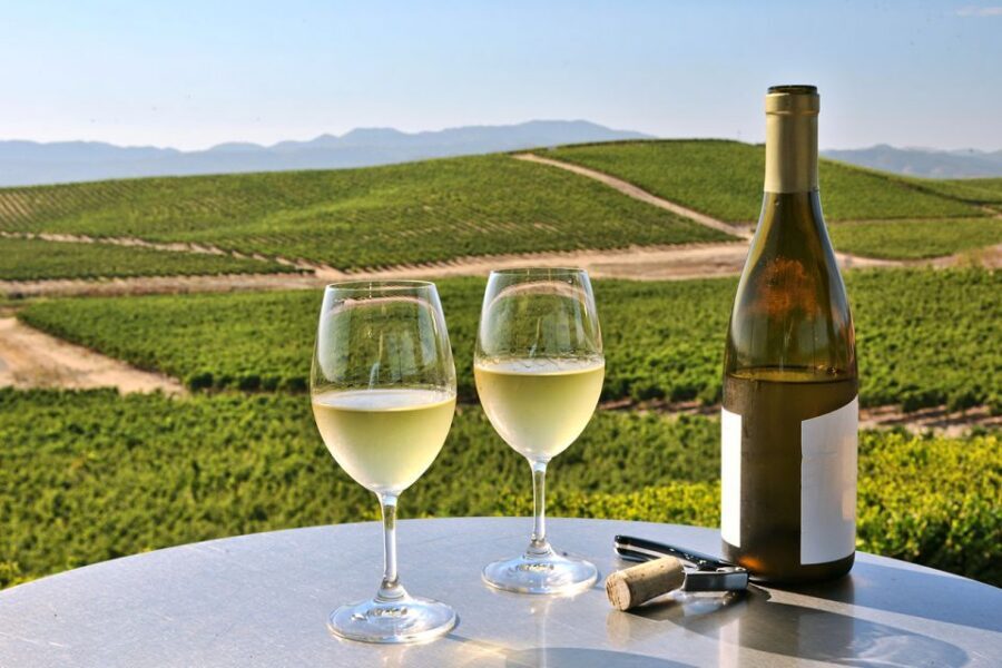 Nafplion: Nemea Vineyards Wine Tour - Guides and driving: what makes the experience feel smooth