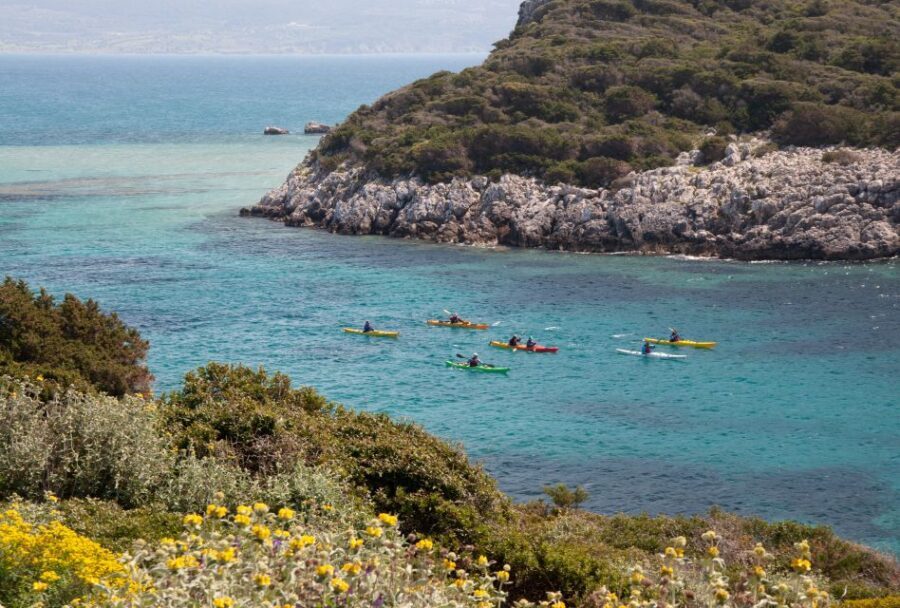 Navarino Bay: Sea Kayaking with Lunch - Price and Value: Is $94 Worth It?