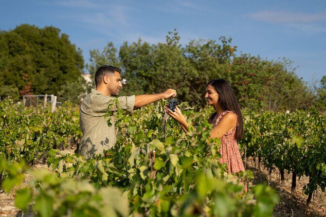 Nemea wine roads, The most famous wine tour in Greece - A quick but memorable pause at the Corinth Canal
