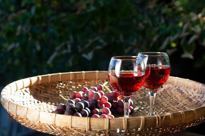 Nemea Wine Tasting & Nafplio Full-Day Private Tour from Athens - Ancient Corinth and Ancient Nemea (Optional): Worth It If You Like Archaeology