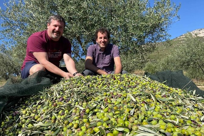 Olive Oil Tour & Tasting with sommelier -Kalentzi, Athens daytrip - FAQ