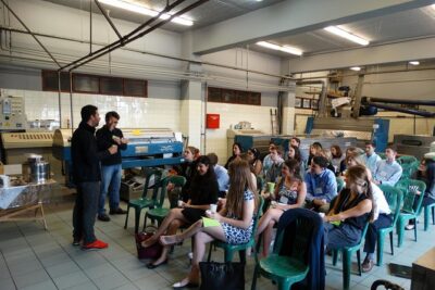 Olive Tour & Tasting - The olive mill walkthrough: from trees to processing reality