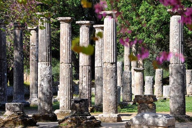 Olympia Shore Ex: Olympic site, Honey Farm & Olive Oil Tasting - Ancient Olympia plus honey and olive oil: what you’re really buying