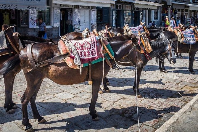 One Day Cruise to Hydra, Poros and Aegina from Athens - Morning logistics in Athens: pickup, Piraeus timing, and getting on board smoothly