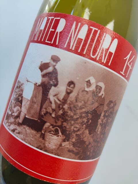 Orange & Natural Wines Of Greece with Cheese & Olive Oils - Extra Virgin Olive Oil tasting: the Greece flavor you can use at home