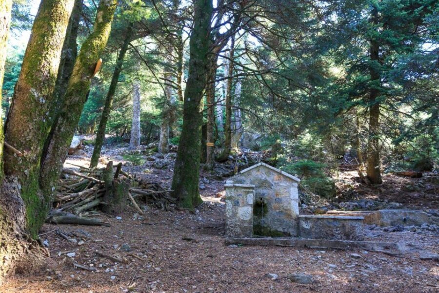 Parnitha (Parnis) / Skipiza & Mola loop - Hike near Athens - Deer tracks and big views: what makes this Parnis hike special?