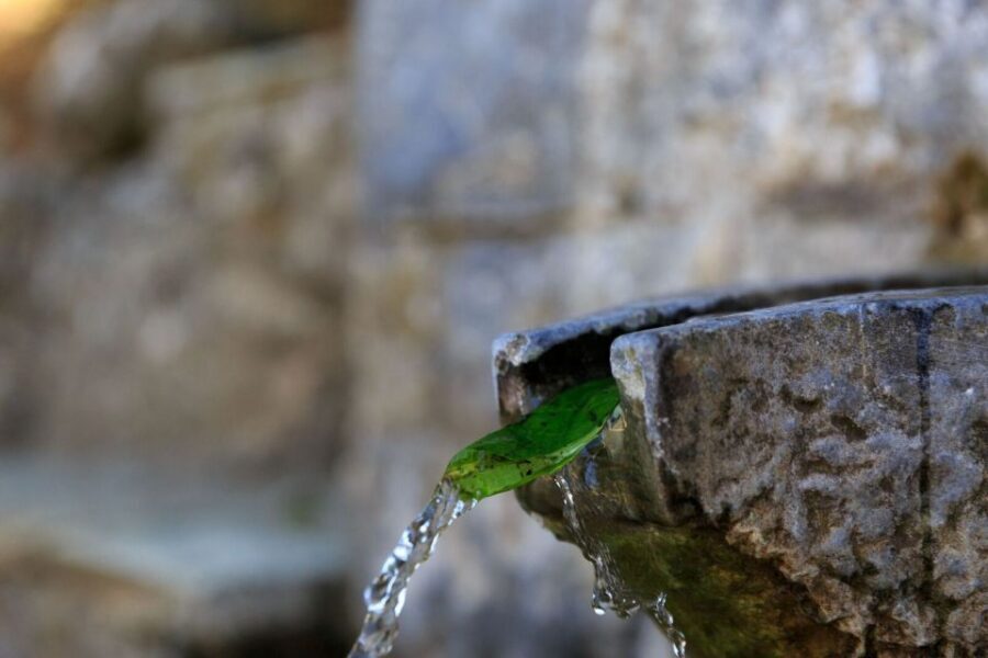 Parnitha (Parnis) / Skipiza & Mola loop - Hike near Athens - Key highlights worth caring about