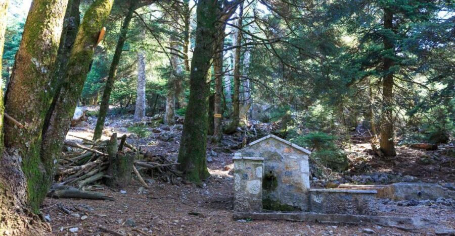 Parnitha (Parnis) / Skipiza & Mola loop - Hike near Athens - Getting to the mountain: the ride that sets the tone