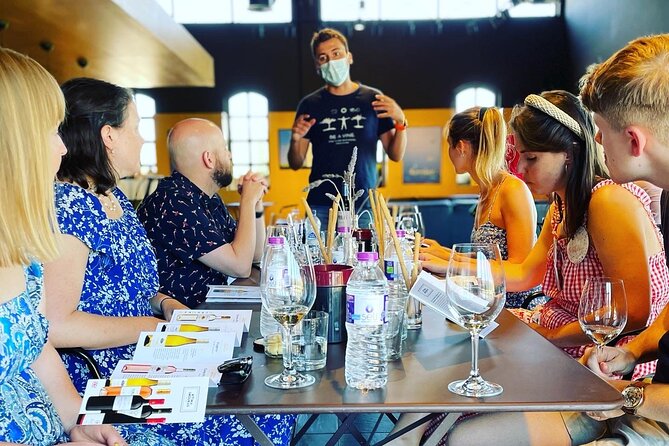 Premium Nemea Wine Tour from Athens, Nafplio or Nemea, with Oenologists - How the full day works (and how not to waste it)
