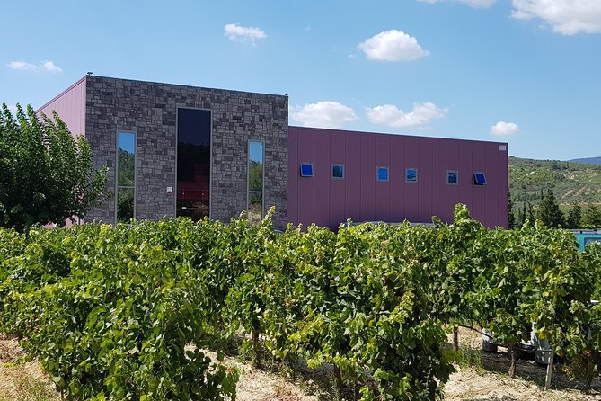 Premium Nemea Wine Tour from Athens, Nafplio or Nemea, with Oenologists - The real star: an oenologist wine guide who makes the tasting make sense