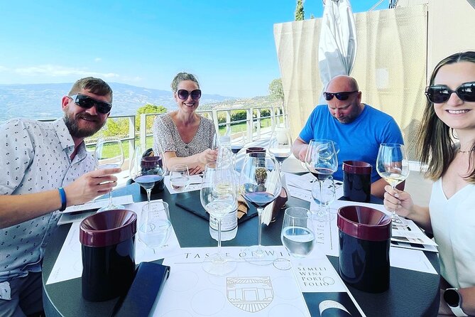 Premium Nemea Wine Tour from Athens, Nafplio or Nemea, with Oenologists - Price and value: what $229.92 buys you